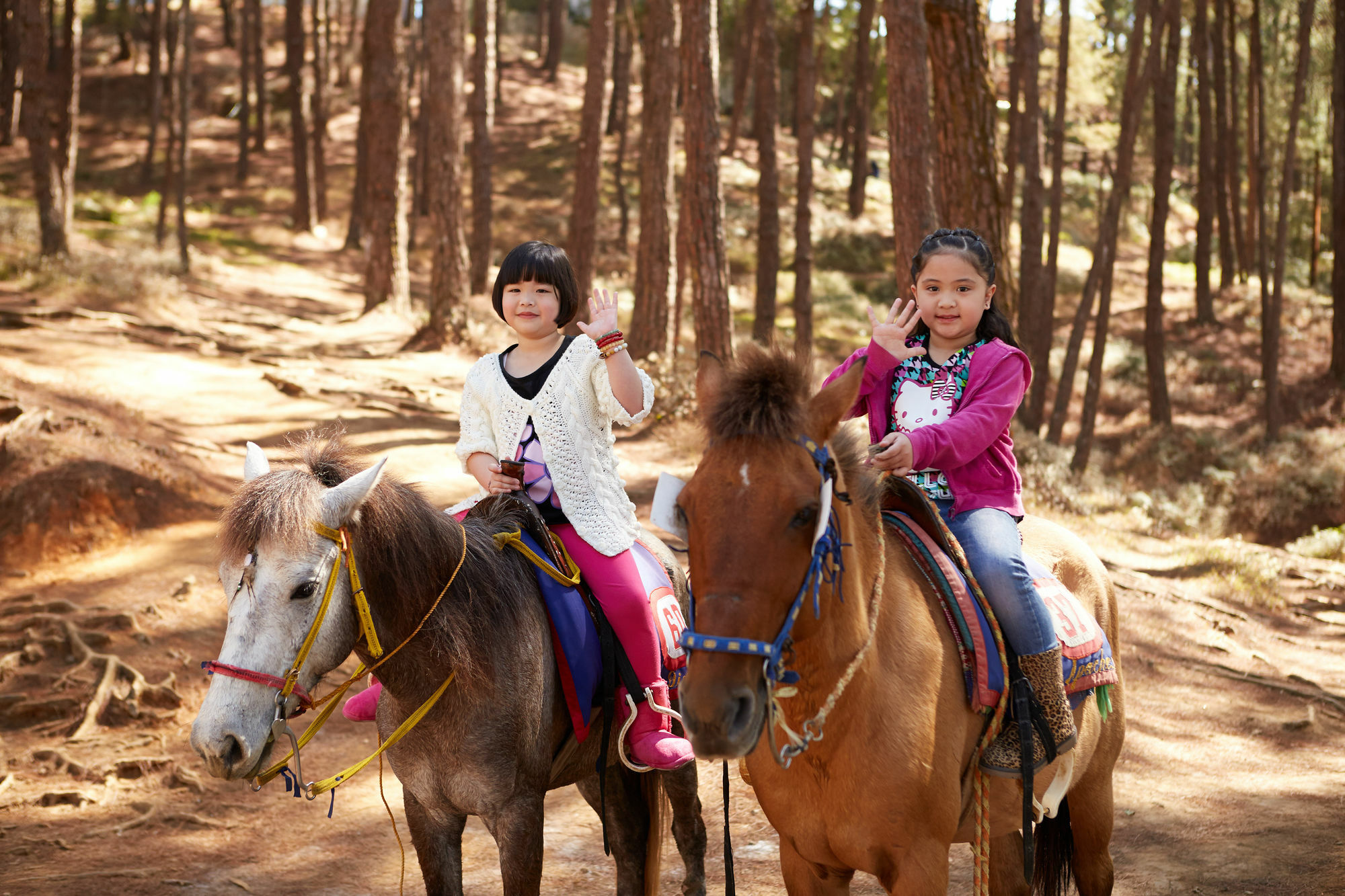 فندق The Manor At Camp John Hay باغيو المظهر الخارجي الصورة